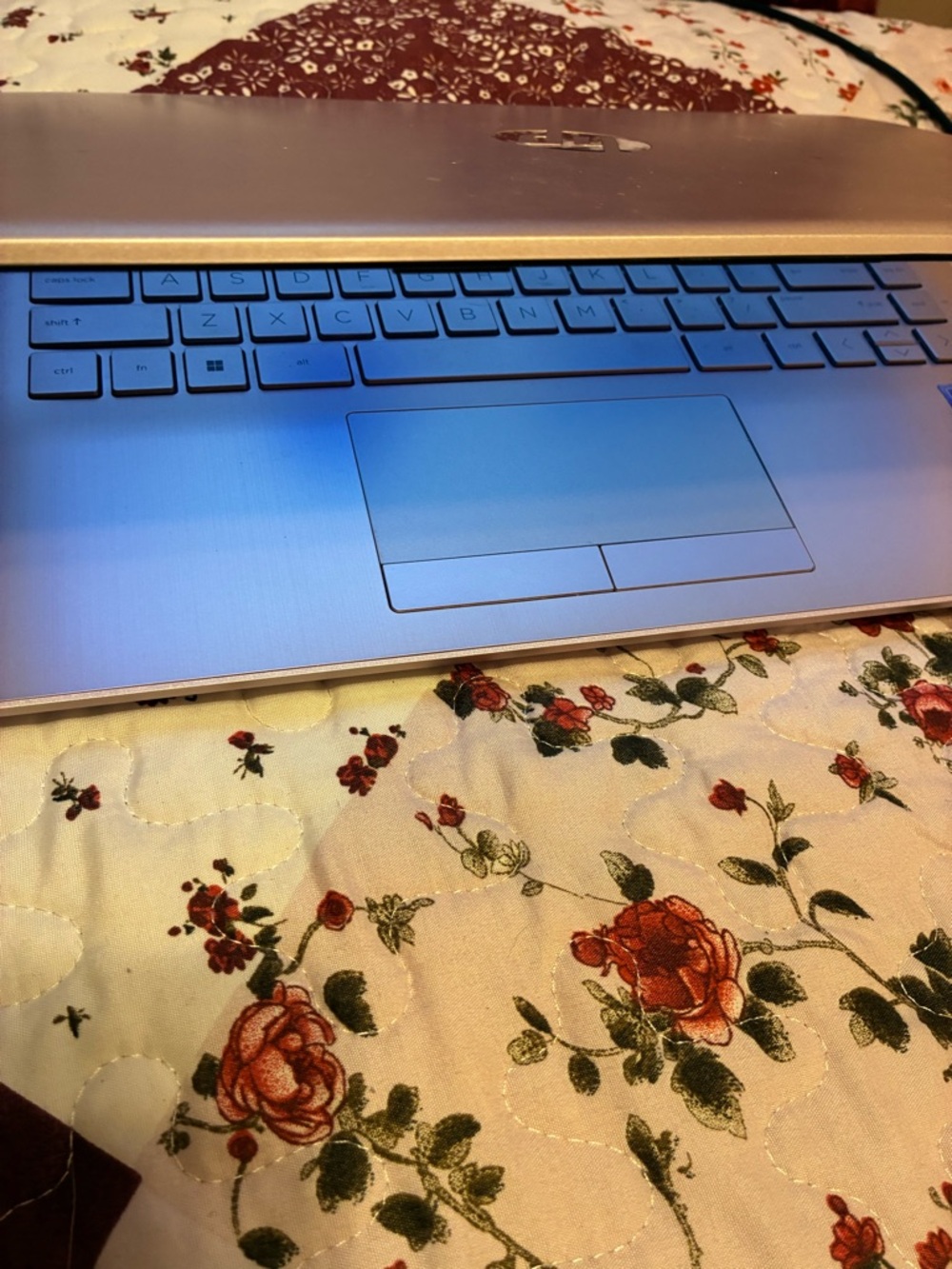 HP Pink (Rose Gold) Compact Laptop with HP Logo - Picture 3 of 5